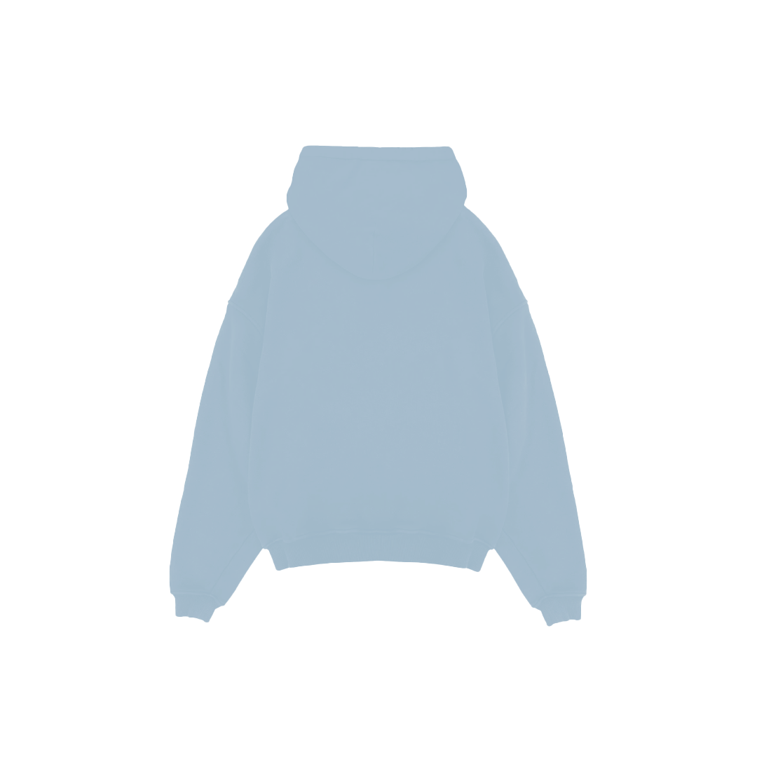 LIGHT BLUE VLR HOODIE